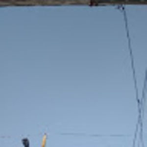 Meet your Posher, Willie